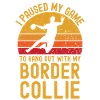 Handball et Border Collie