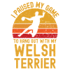 Handball and Welsh Terriers