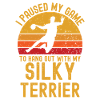 Handball et Silky-Terrier