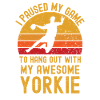 Handball et Yorkshire Terriers