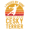 Handball and Cesky Terriers