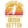 Handball and Irish-Setter