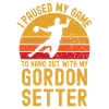 Handball and Gordon-Setter