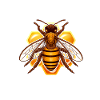 Bienenflüsterer Motiv Hexa