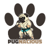 Pug puppy pun