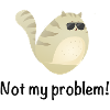 Not My Problem Cool Cat