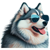 Alaskan Malamute with sunglasses