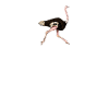 Ostrich