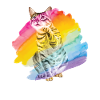 Savannah Cat Rainbow Kitten