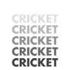 Sport Cricket