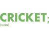 Sport Definition Cricket