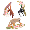 Orangutang Abe Blomster Aber