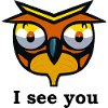 Observing owl