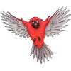 Cardinal