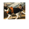 Cat Art History