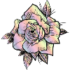 nature semi-morte fleur