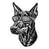 Doberman
