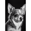 Chihuahua Techichi Dog Drawing