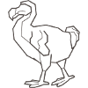 Dodo