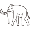 Mammut
