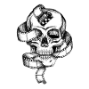 Skull and Film