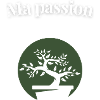 Ma passion le bonsaï