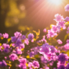 Flowers in spring