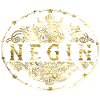 Negin