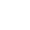 Auditor Secret Agent