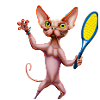 Tennis Sphynx Cat