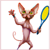 Tennis Sphynx Cat
