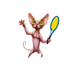 Tennis Sphynx Cat 9 Life