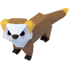 Polygon ferrets