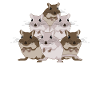 Rennmaus Schlafshirt Rennmäuse