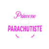 c'est compliqué princesse et parachutiste