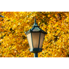 Straßenlaterne im Herbst