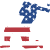 Sport Us Flag Cricket