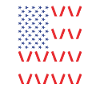 Sport Us Flag Cricket