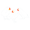 Puffins Brittany