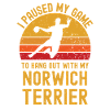 Handball and Norwich Terriers
