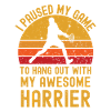 Tennis and Harrier