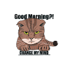 Bonjour Chat - Grincheux