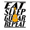 Food Sleeping Guitar