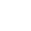 Wasserbär Bärtierchen Tardigrade
