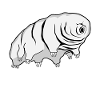Tardigrade Water Bear sjove bjørnedyr