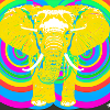 Elephant LGBTQ