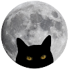 Chat dans la lune