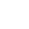 Authentic Motorcycle