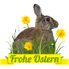 Frohe Ostern Osterhase