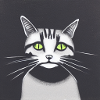 Katze